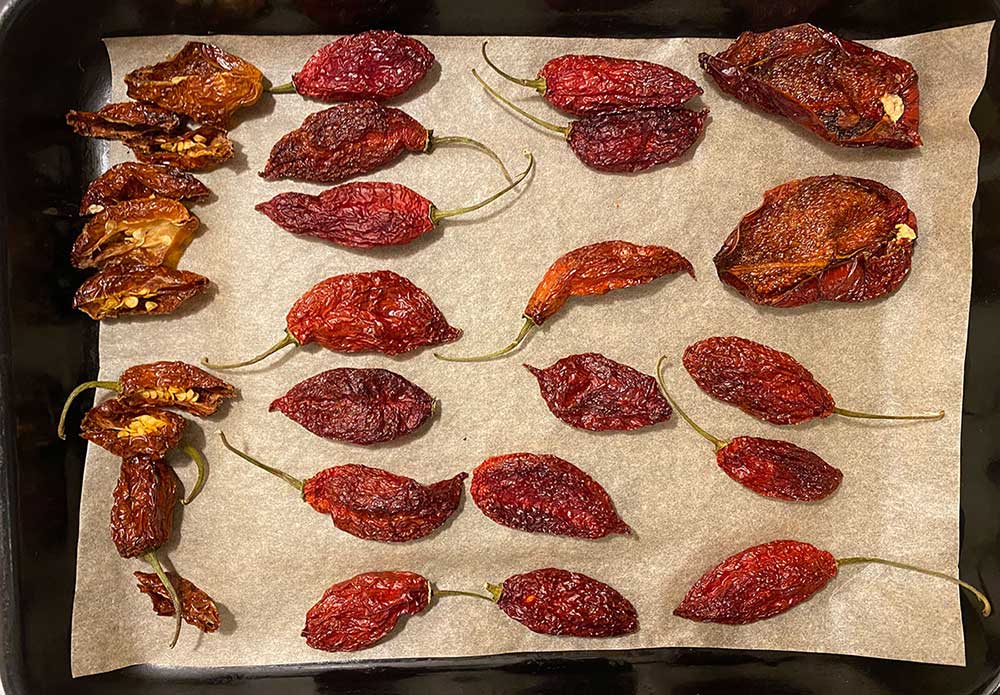 dried hot peppers