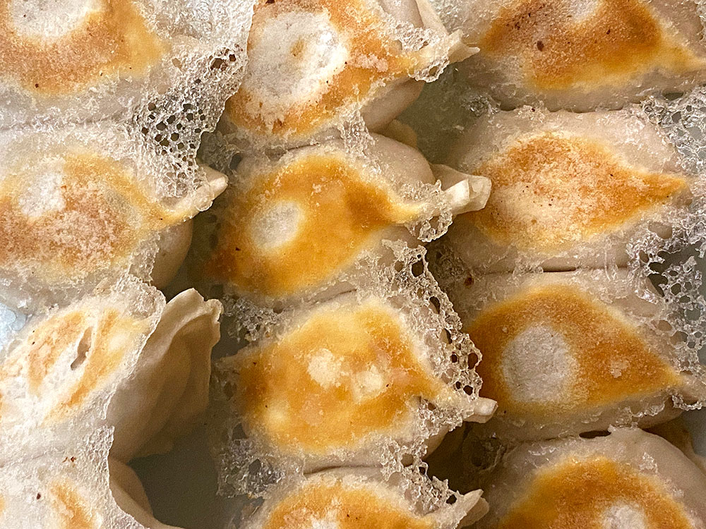 Fried dumplings from Qing Xiang Yuan