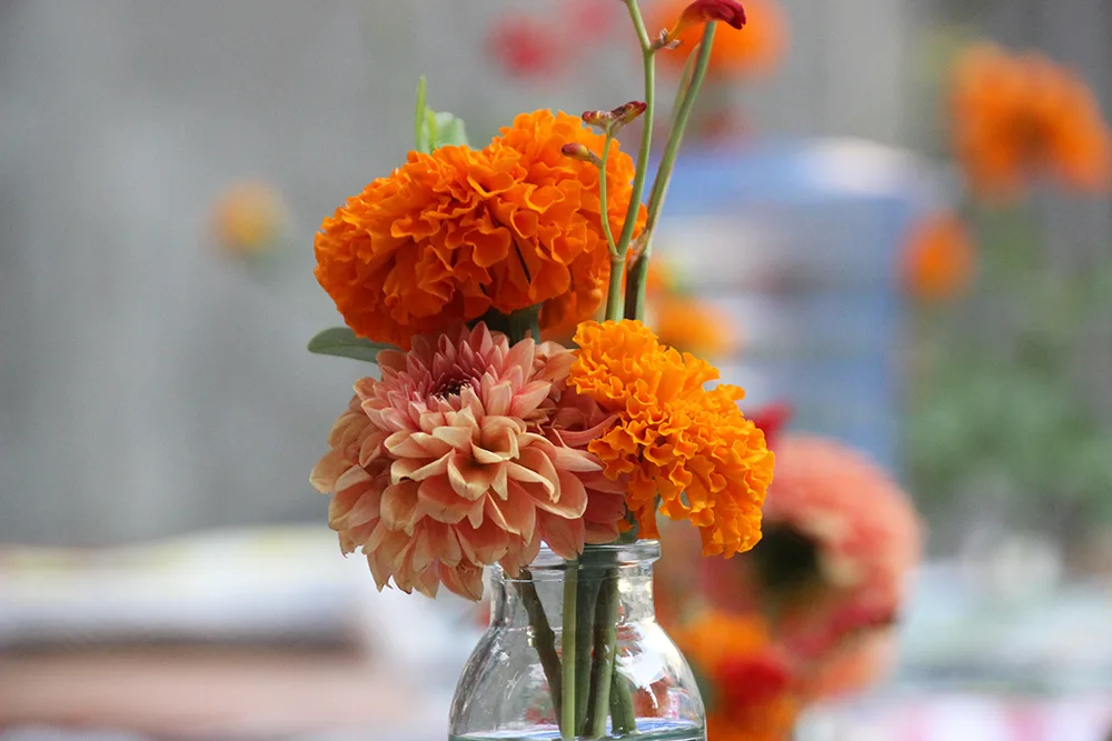 Floral arrangements from Rosehip Social, bright orange flowers in a glass jar