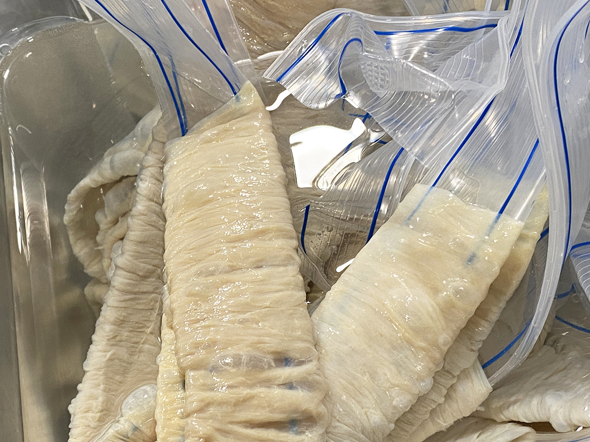 Natural casings are made from animal intestines