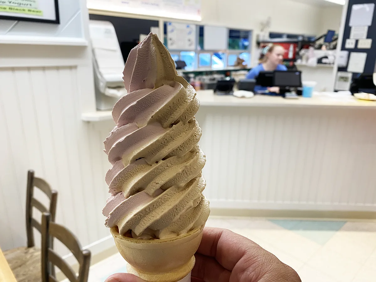 Coffee and black raspberry swirl ice cream from PJ's in Wellfleet
